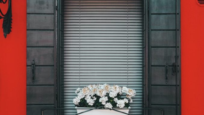 uploaded-image-bilim-ve-sanat-iki-farkli-dunya-1698398122913