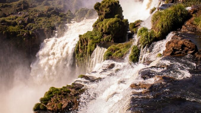 uploaded-image-norobilim-beyin-ve-sinir-sistemi-arastirmalari-1698398307077