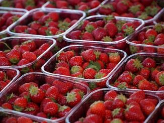 Sürdürülebilir Tarım: Organik Tarım Uygulamaları ve Geleceği