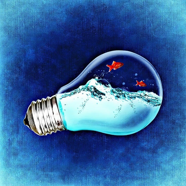 Türkiye'de Enerji ve Çevre: Yenilenebilir Enerji Kaynakları Türkiye'de Enerji ve Çevre: Yenilenebilir Enerji Kaynakları