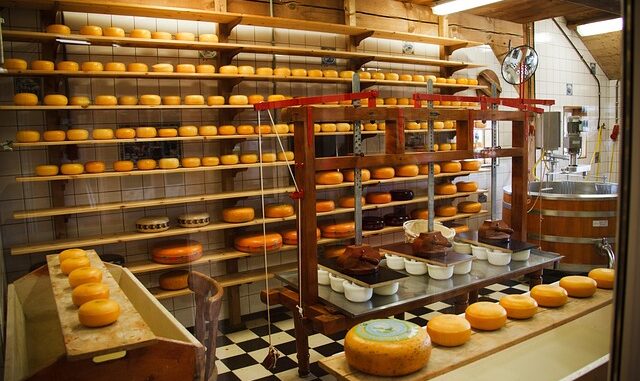 Türkiye'de Sanayi: Üretim ve İhracatta Son Durum Türkiye'de Sanayi: Üretim ve İhracatta Son Durum