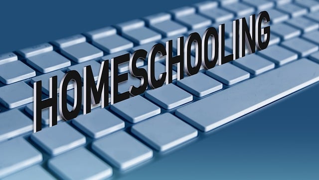 Yeni Nesil Eğitim: Online Eğitim Platformları ve Geleceği Yeni Nesil Eğitim: Online Eğitim Platformları ve Geleceği
